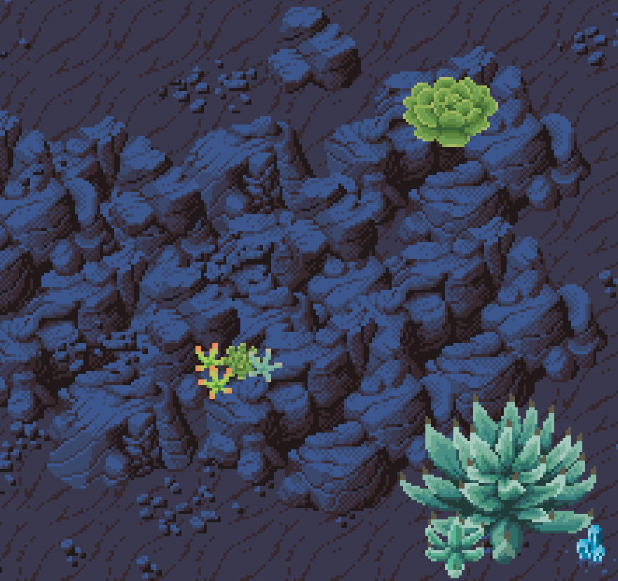 Rocks and plants
